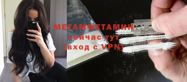 прущие грибы Покров