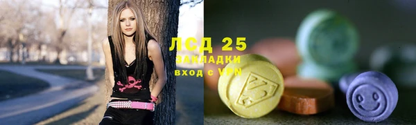прущие грибы Покров