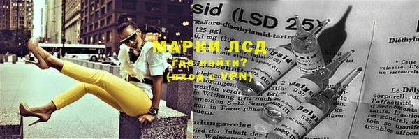 прущие грибы Покров