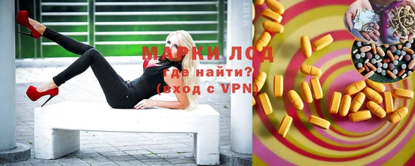прущие грибы Покров
