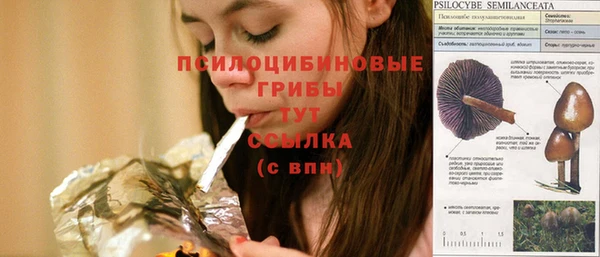 прущие грибы Покров