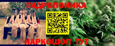 стаф Бузулук