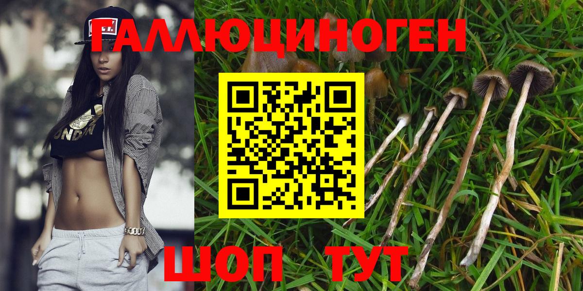 Псилоцибиновые грибы ЛСД  Новоуральск 