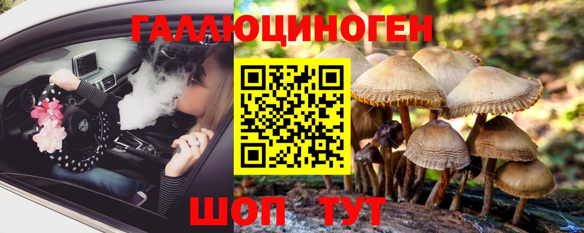 Псилоцибиновые грибы Psilocybine cubensis  Вход с VPN  Галлюциногенные грибы прущие грибы  хочу наркоту  Новоуральск 
