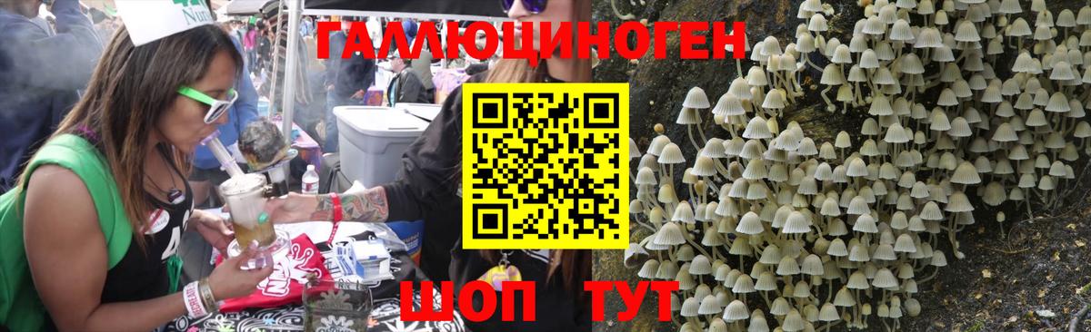 Галлюциногенные грибы прущие грибы Новоуральск